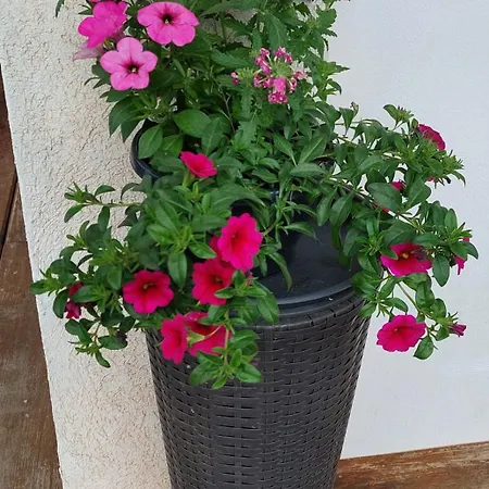 Seppi Lejlighed Presseggersee