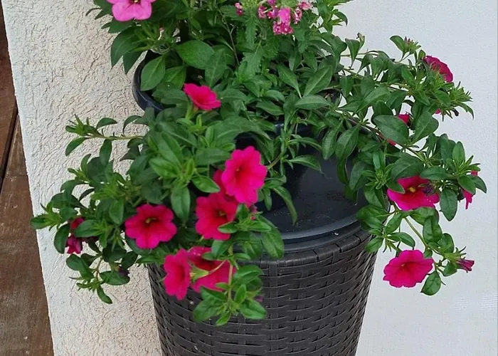 Seppi Apartament Presseggersee